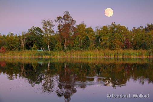Scugog River Moonrise_07103.jpg - Photographed near Lindsay, Ontario, Canada.